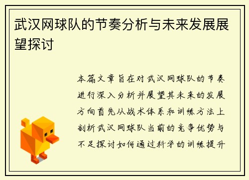 武汉网球队的节奏分析与未来发展展望探讨